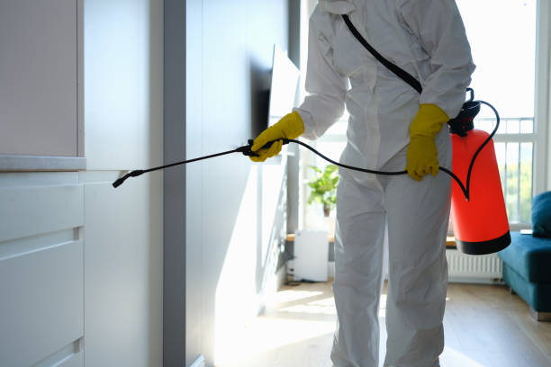 Best Localized Mold Remediation (e.g., coastal areas, humid climates) in Union Gap, WA